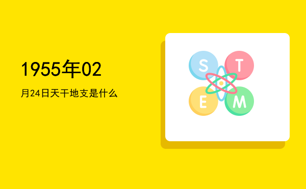 1955年02月24日天干地支是什么
