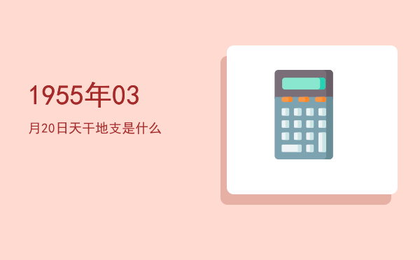 1955年03月20日天干地支是什么