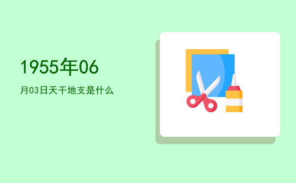 1955年06月03日天干地支是什么