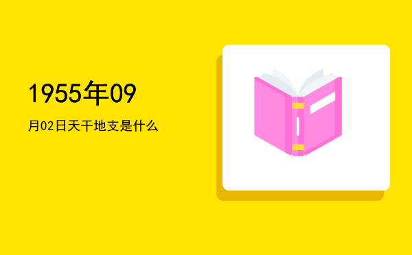 1955年09月02日天干地支是什么