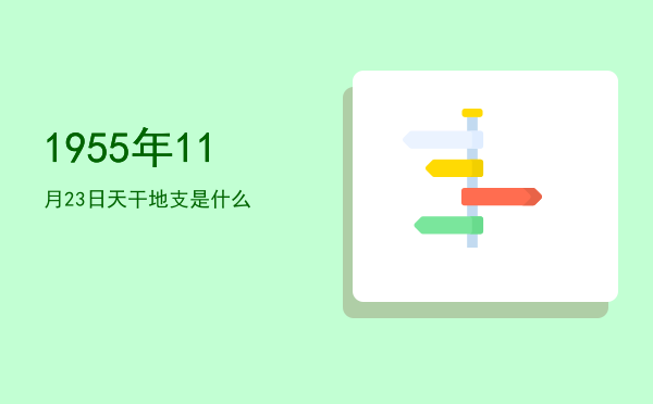 1955年11月23日天干地支是什么
