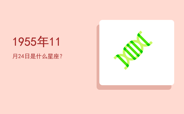 1955年11月24日是什么星座？