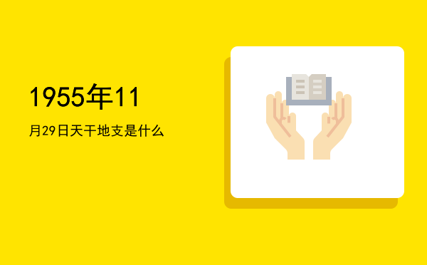 1955年11月29日天干地支是什么