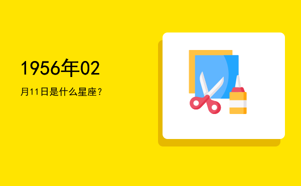 1956年02月11日是什么星座？