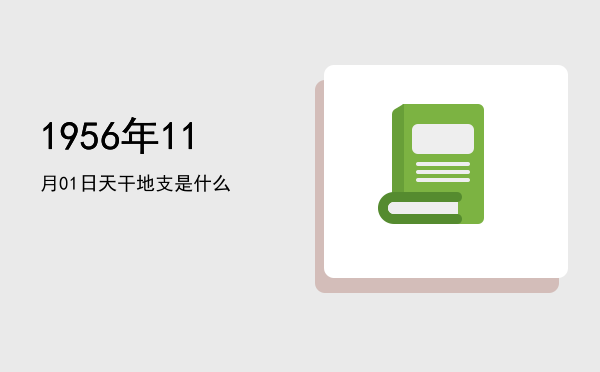 1956年11月01日天干地支是什么