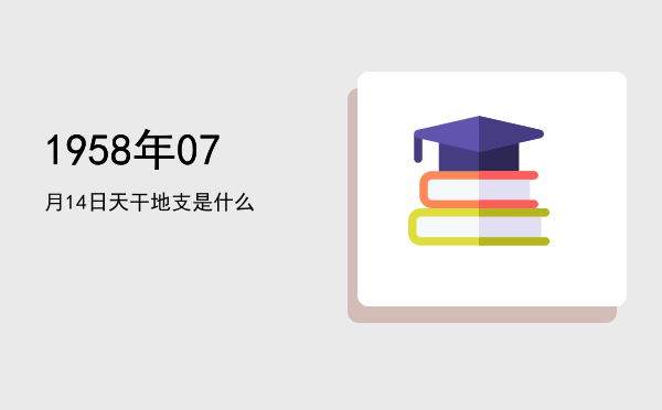 1958年07月14日天干地支是什么