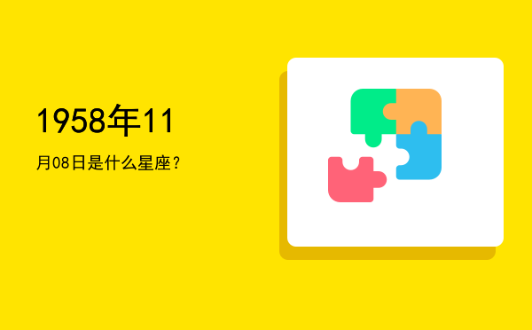 1958年11月08日是什么星座？