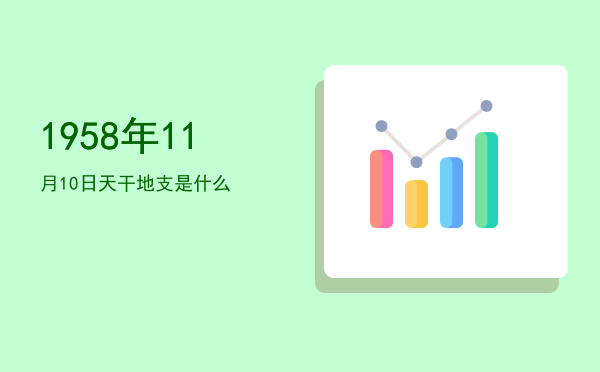 1958年11月10日天干地支是什么