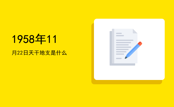 1958年11月22日天干地支是什么