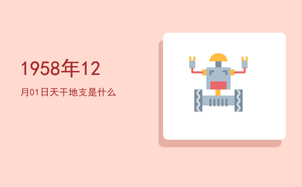 1958年12月01日天干地支是什么