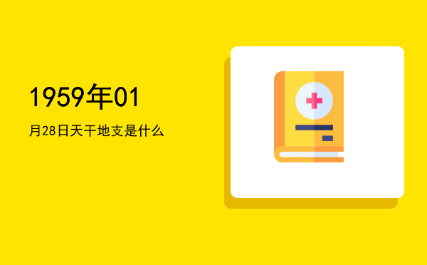 1959年01月28日天干地支是什么