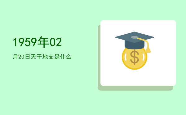 1959年02月20日天干地支是什么