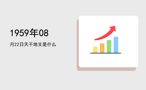 1959年08月22日天干地支是什么
