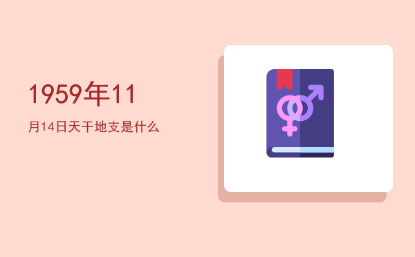 1959年11月14日天干地支是什么