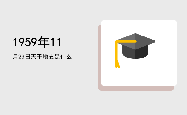 1959年11月23日天干地支是什么