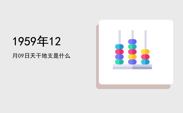 1959年12月09日天干地支是什么