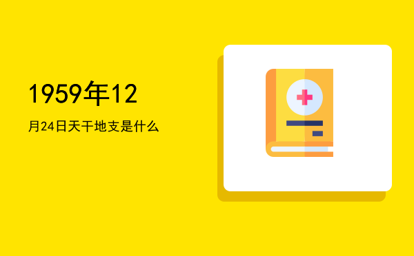 1959年12月24日天干地支是什么