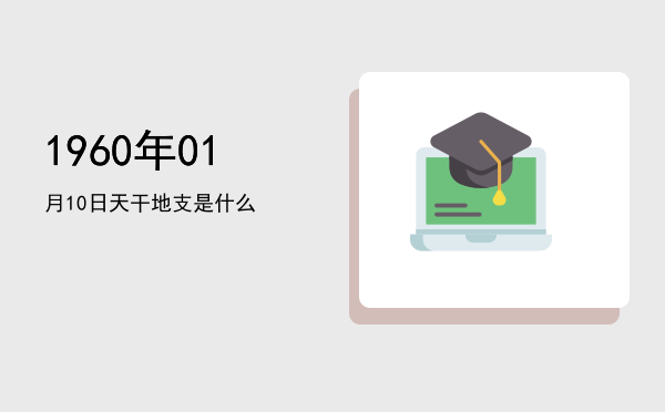 1960年01月10日天干地支是什么