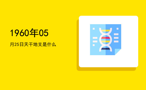 1960年05月25日天干地支是什么