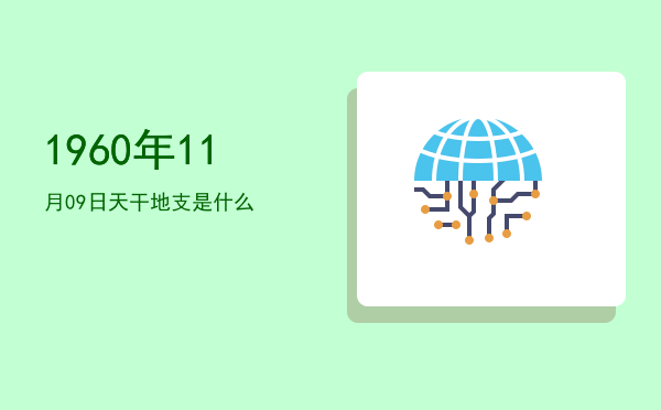 1960年11月09日天干地支是什么