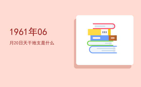 1961年06月20日天干地支是什么