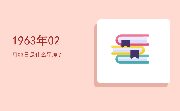 1963年02月03日是什么星座？