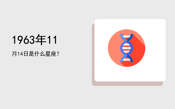 1963年11月14日是什么星座？