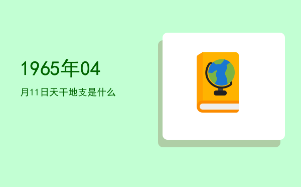 1965年04月11日天干地支是什么