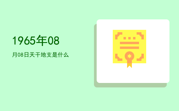 1965年08月08日天干地支是什么