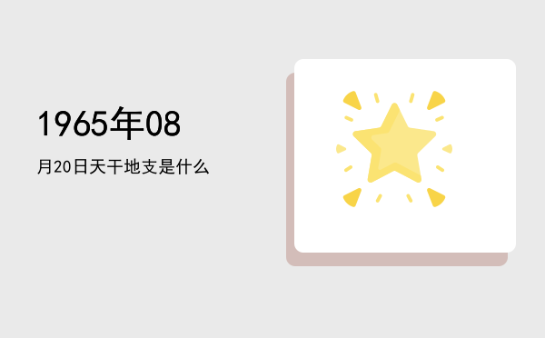 1965年08月20日天干地支是什么