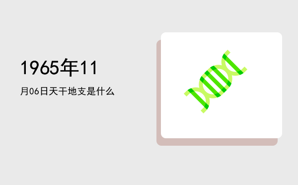 1965年11月06日天干地支是什么