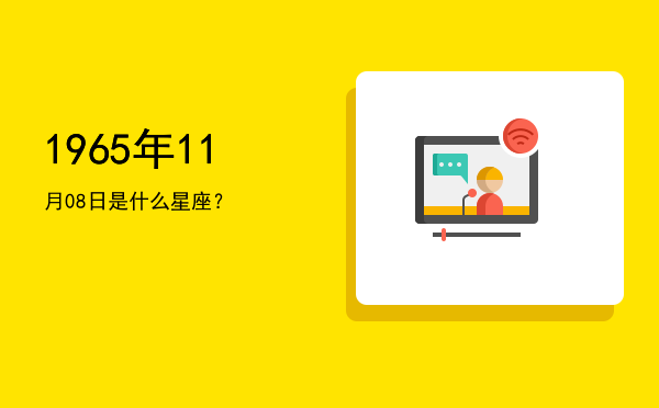 1965年11月08日是什么星座？