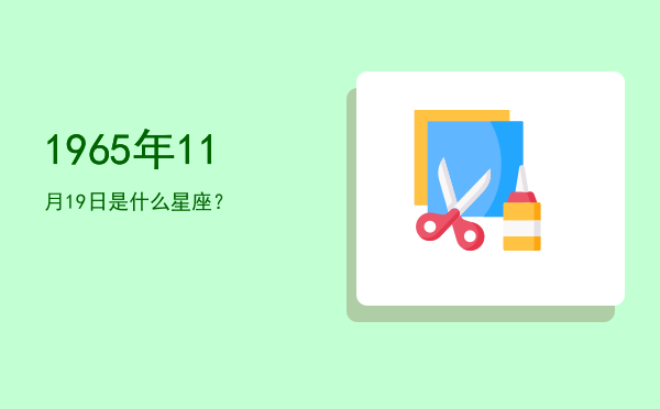 1965年11月19日是什么星座？