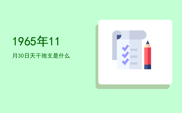 1965年11月30日天干地支是什么
