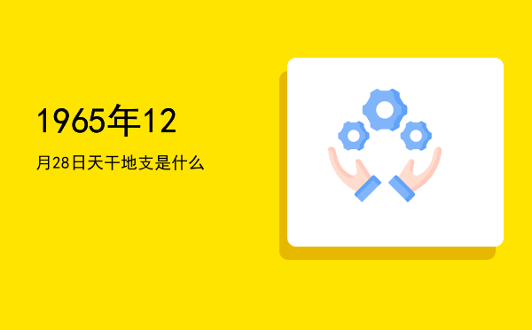 1965年12月28日天干地支是什么