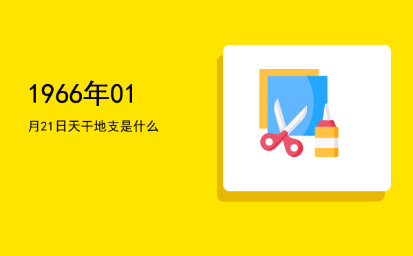 1966年01月21日天干地支是什么