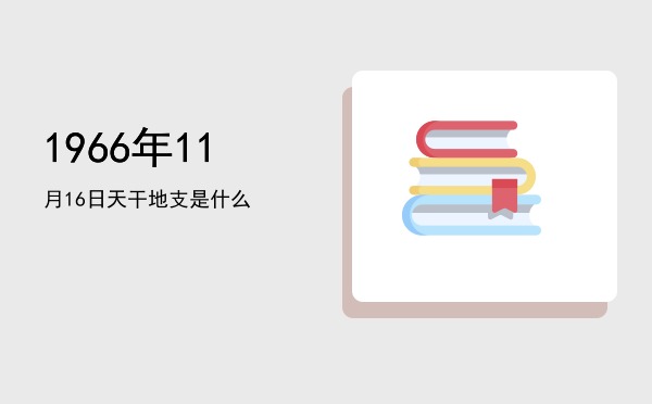 1966年11月16日天干地支是什么