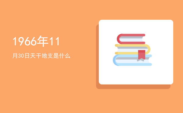 1966年11月30日天干地支是什么