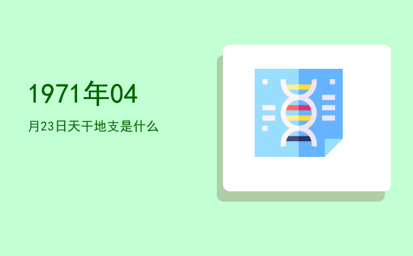 1971年04月23日天干地支是什么