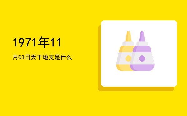 1971年11月03日天干地支是什么