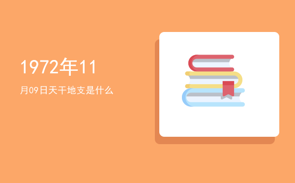1972年11月09日天干地支是什么