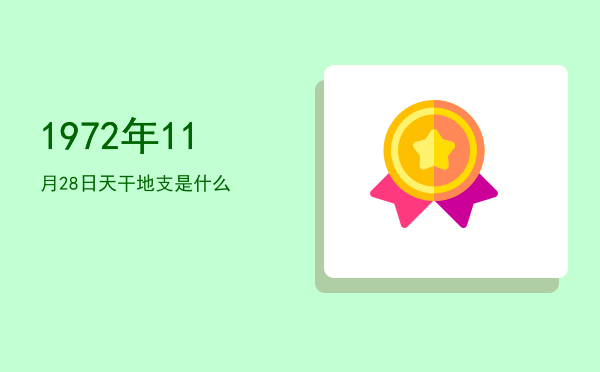 1972年11月28日天干地支是什么