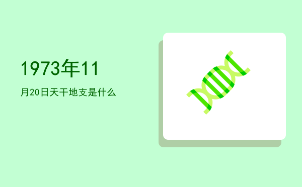 1973年11月20日天干地支是什么