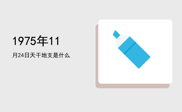 1975年11月24日天干地支是什么