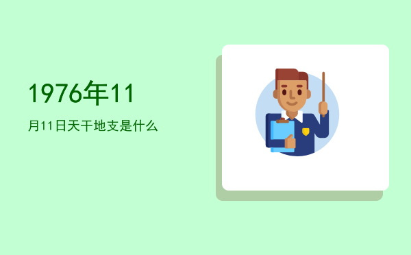 1976年11月11日天干地支是什么