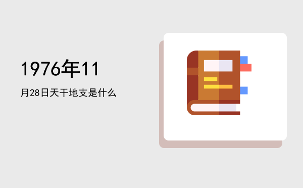 1976年11月28日天干地支是什么