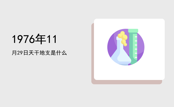 1976年11月29日天干地支是什么