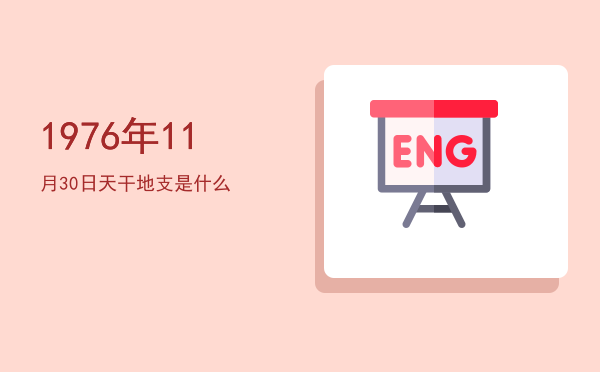 1976年11月30日天干地支是什么