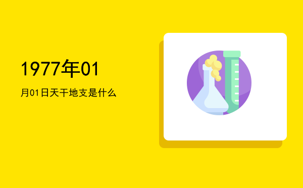 1977年01月01日天干地支是什么