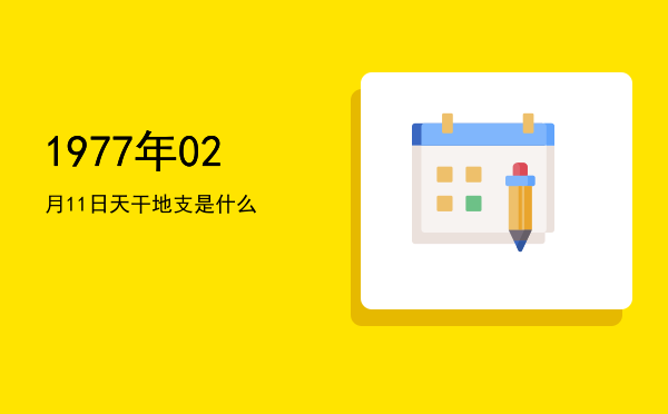 1977年02月11日天干地支是什么